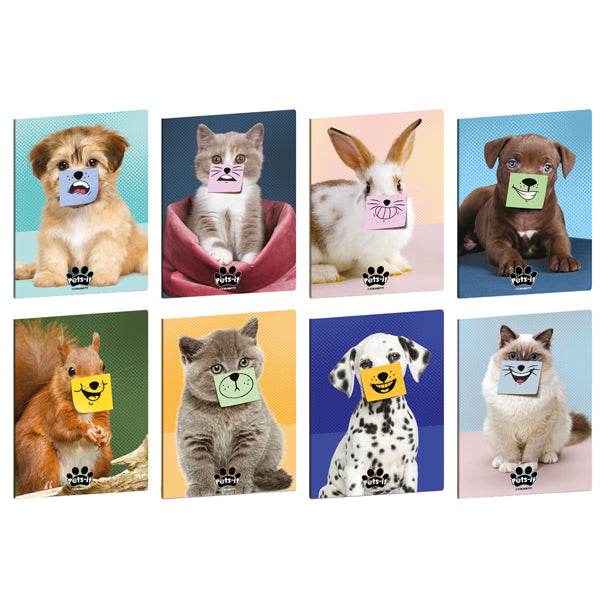 BLASETTI - 8927 - Maxiquaderno Pets-IT - A4 - 4mm c-margine - 20+1 fogli - 80 gr - Blasetti - 103281 - Conf. da 10 Pz.