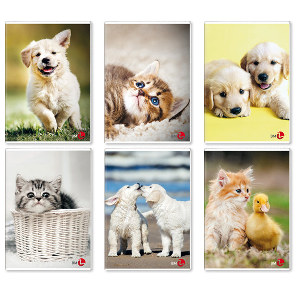 BM - 0110391 - Maxiquaderno Cute fantasia - A4 - 40+2 fogli - 80gr - 10mm - BM - 81332 - Conf. da 10 Pz.