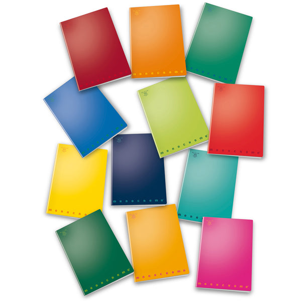 PIGNA - 02298870Q - Maxiquaderno Monocromo - A4 - 5 mm con margine - 80gr - 42 fogli - Pigna