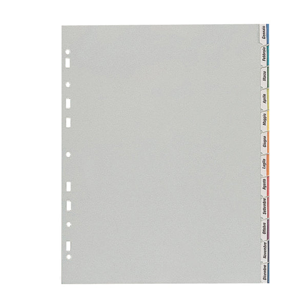 FAVORIT - 400006688 - Separatore - 12 tacche personalizzabili - PP - 22x30 cm - grigio - Favorit