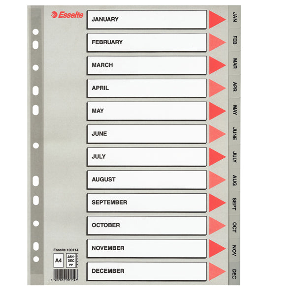 ESSELTE - 100114 - Separatore mensile Gen-Dic - PPL - A4 - grigio - Esselte
