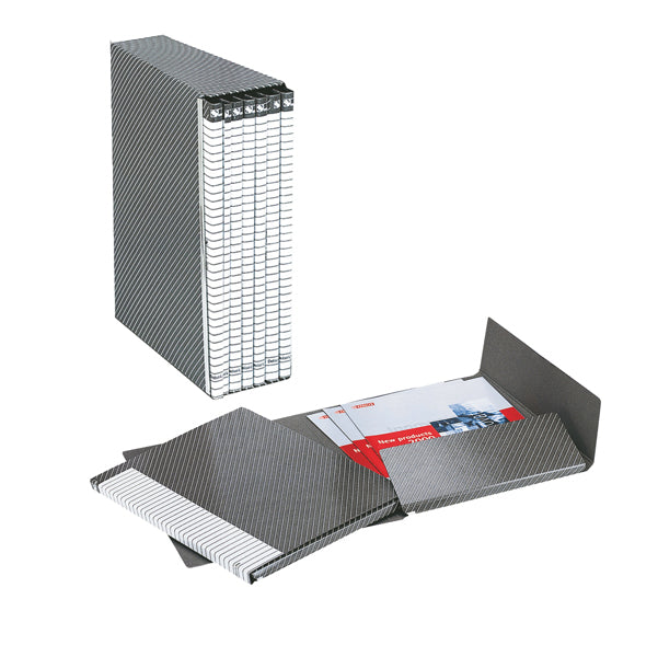 ESSELTE - 390954040 - Gruppo Delso Line - 6 cartelle 2 lembi - con custodia - 25x32 cm - dorso 1,5 cm - grigio - Esselte