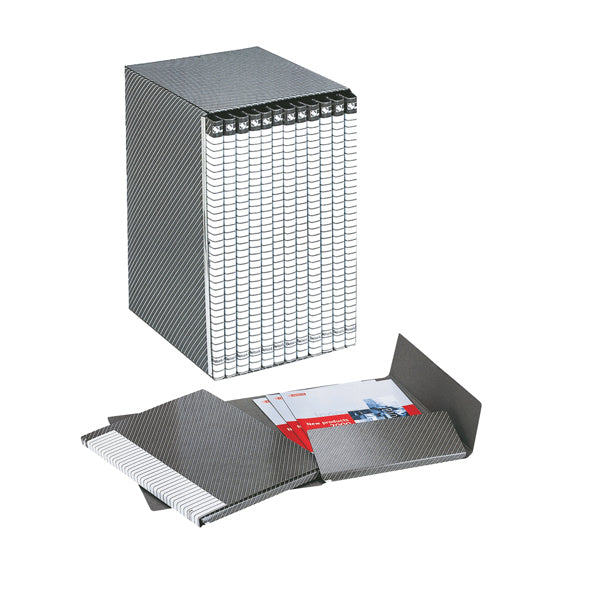 ESSELTE - 390955040 - Gruppo Delso Line - 12 cartelle 2 lembi - con custodia - 32x25 cm - dorso 1,5 cm - Esselte