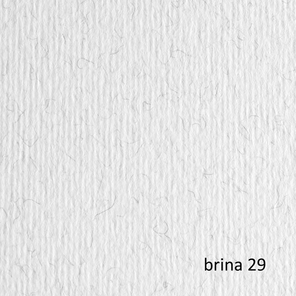 FABRIANO - 42450729 - Cartoncino Elle Erre - 50x70cm - 220gr - brina 29 - Fabriano - blister 20 fogli