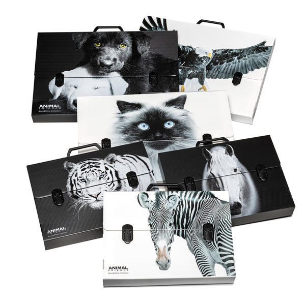 RI.PLAST - 6438535200BW - Valigetta polionda Animal Friends - 38 x 53 cm - dorso 5 cm - fantasie assortite - Ri.Plast