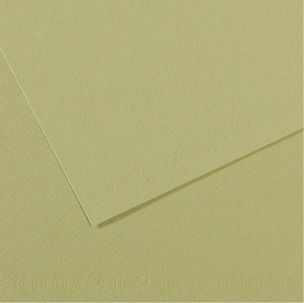 CANSON - C31032S022 - Foglio Mi-Teintes - A4 - 160 gr - verde mandorla - Canson