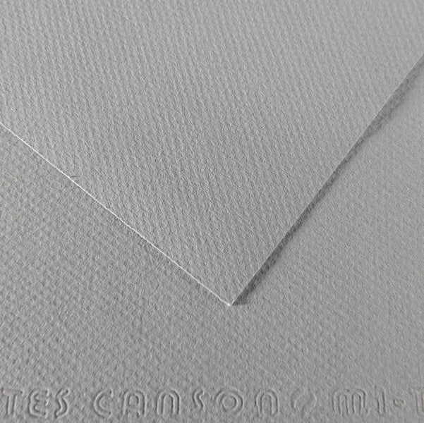 CANSON - C31032S010 - Foglio Mi-Teintes - A4 - 160 gr - grigio flanella - Canson