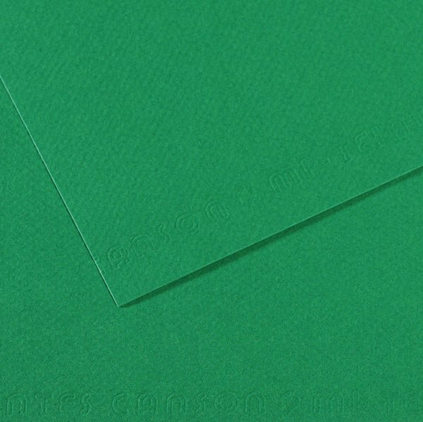 CANSON - C31032S029 - Foglio Mi-Teintes - A4 - 160 gr - verde biliardo - Canson