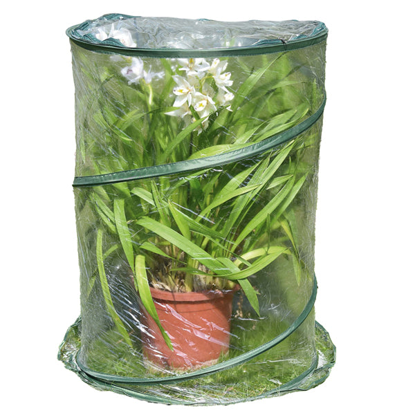 Verdemax - 2634 - Serra Pop-up Anthurium - 70 x 100 cm - trasparente - Verdemax