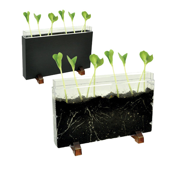 CWR - 12892 - Contenitore Esplora il sottosuolo - 30 x 19 x 4 cm - Cwr - 99838 - Conf. da 1 Pz.