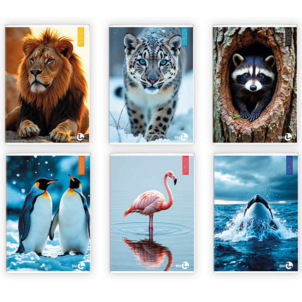 BM - 0110375 - Maxiquaderno Animal fantasia - A4 - rigo di 1a -  40+2 fogli - 80gr - BM - 82526 -  Conf. da 10 Pz.
