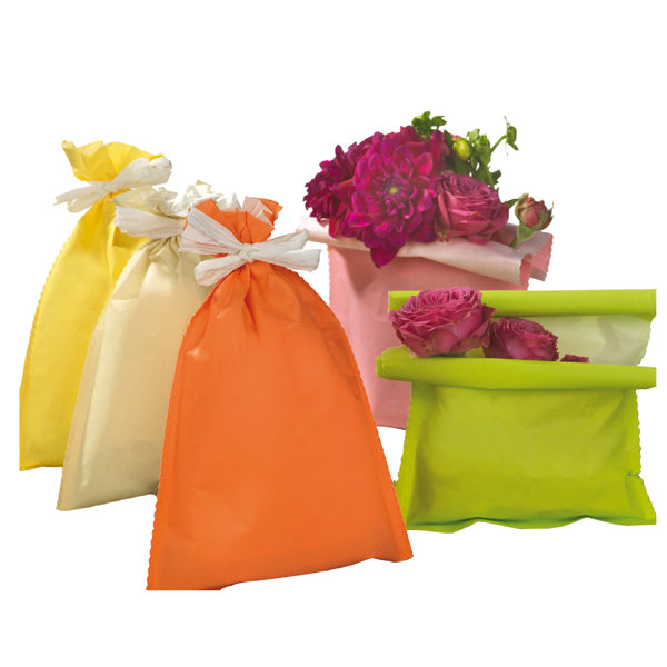 PNP - UDI26GRR14N00 - Busta regalo Spring - 25 x 40 cm - 45 gr - carta - 5 colori assortiti - PNP - conf. 50 pezzi - 99308 -  Conf. da 1 Pz.