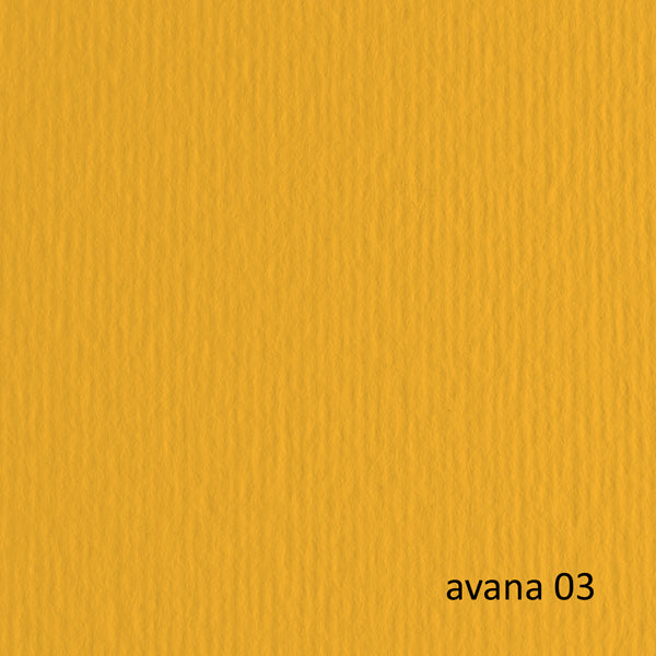 FABRIANO - 42450703 - Cartoncino Elle Erre - 50x70cm - 220gr - avana 103 - Fabriano -  blister 20 fogli