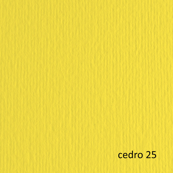 FABRIANO - 46470125 - Cartoncino Elle Erre - 70x100cm - 220gr - cedro 125 - Fabriano - blister 10 fogli