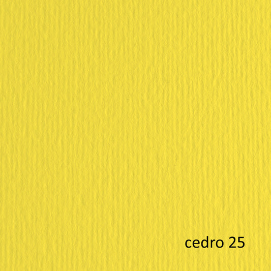 FABRIANO - 46470125 - Cartoncino Elle Erre - 70x100cm - 220gr - cedro 125 - Fabriano - blister 10 fogli