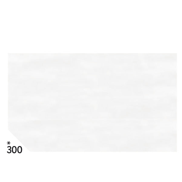 REX SADOCH - KV105300 - Carta velina - 50 x70cm - 20 gr - bianco 300 - Rex Sadoch - busta 26 pezzi