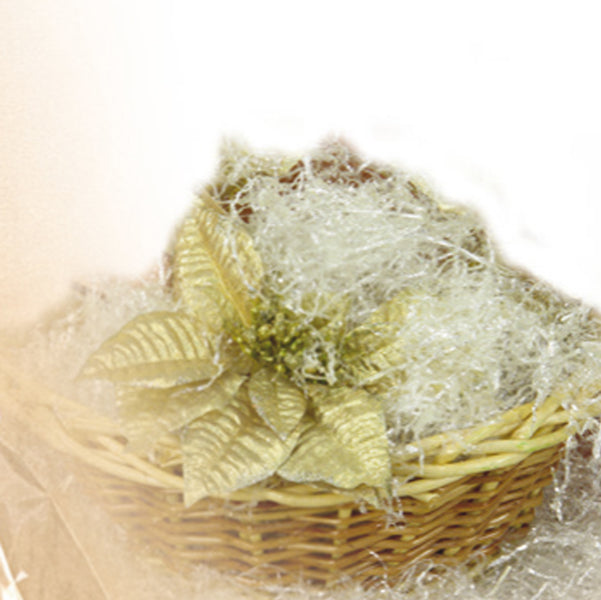 PNP - E-480TN-200gr - Paglietta - 200 gr - trasparente - PNP