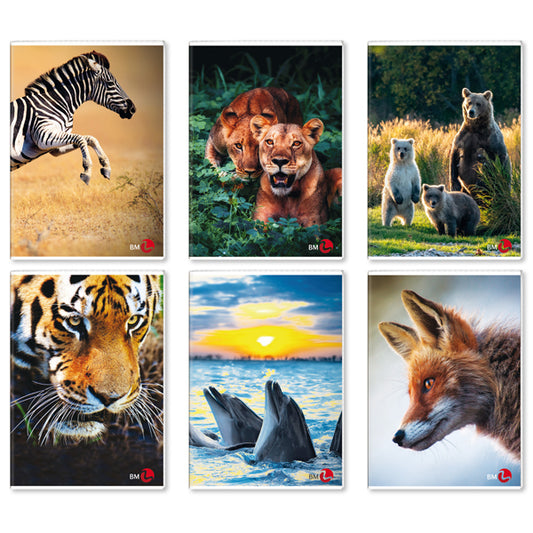 BM - 0110382 - Maxiquaderno A4 40fg+2 80gr 10mm Animal 2023 BM