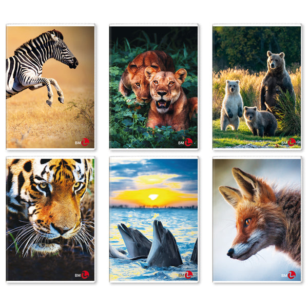 BM - 0110383 - Maxiquaderno A4 40fg+2 80gr 4mm c-margine Animal 2023 BM