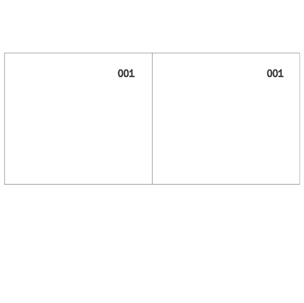 DATA UFFICIO - DU160000010 - Blocco scontrino 2 sezioni - 100 copie numerate - bianco - 5,8 x 13 cm - DU160000010 - Data Ufficio
