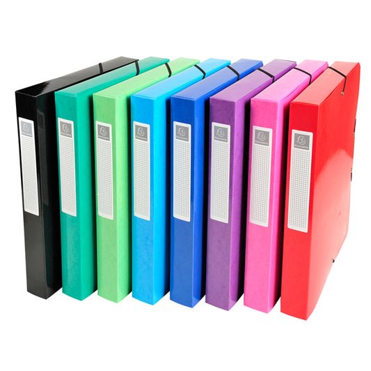EXACOMPTA - 59929E - Scatola archivio box Iderama - dorso 40 mm - A4 - 8 colori assortiti - Exacompta
