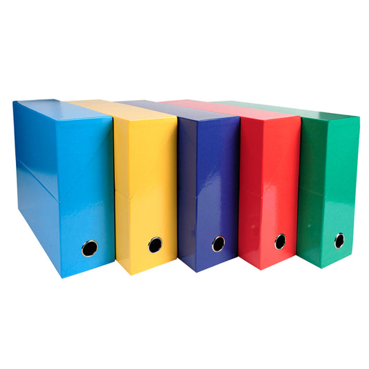 EXACOMPTA - 89920E - Scatola progetto Iderama - 5 colori assortiti classici - dorso 90mm - 25x33cm - Exacompta