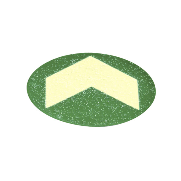CARTELLI SEGNALATORI - L93061 - Bollo con freccia fotoluminescente adesiva - diametro 6 cm - giallo-verde